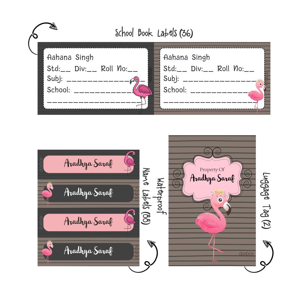 Back to school Combo - Flamingo Doxbox Store|]Peppydots